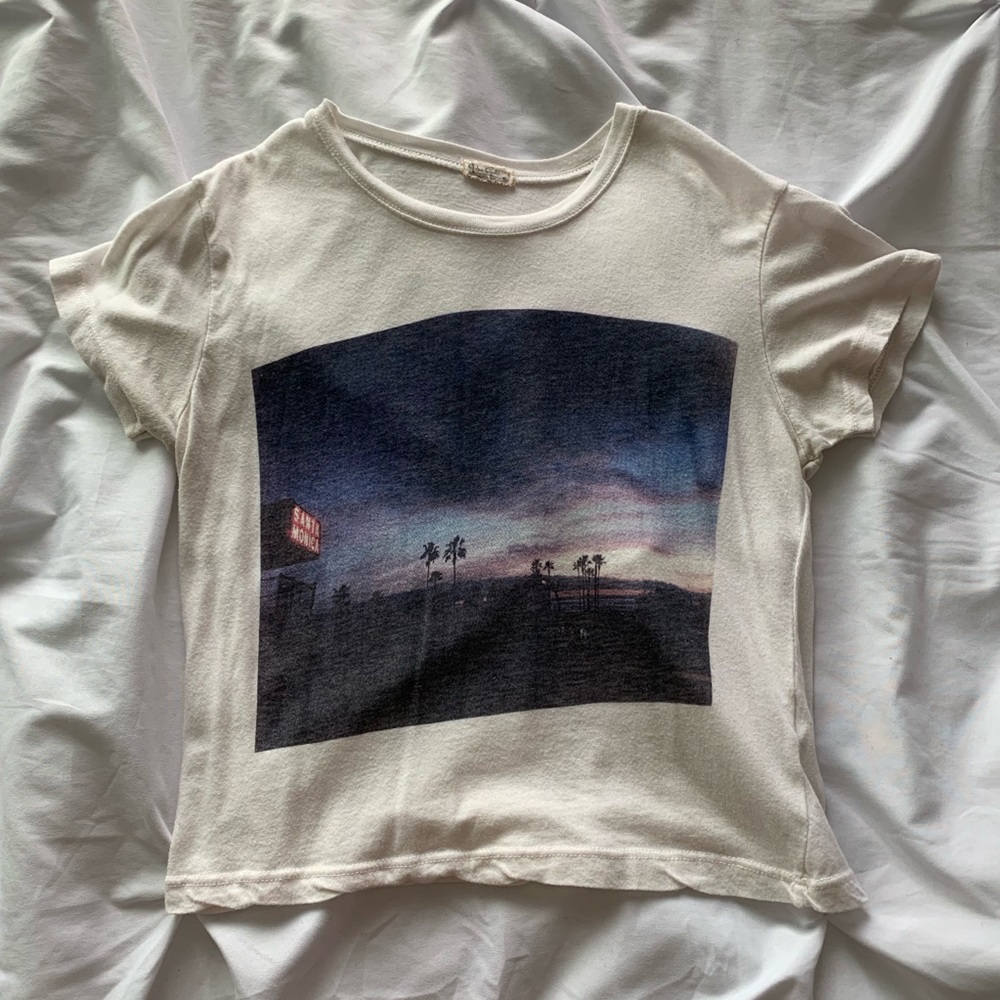 Brandy Melville Santa Monica Crop Top